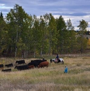 Meet your Posher, Jenny